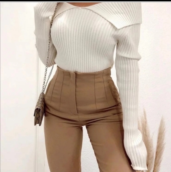 Zara Pants - Zara High Waisted Pants in Taupe Brown